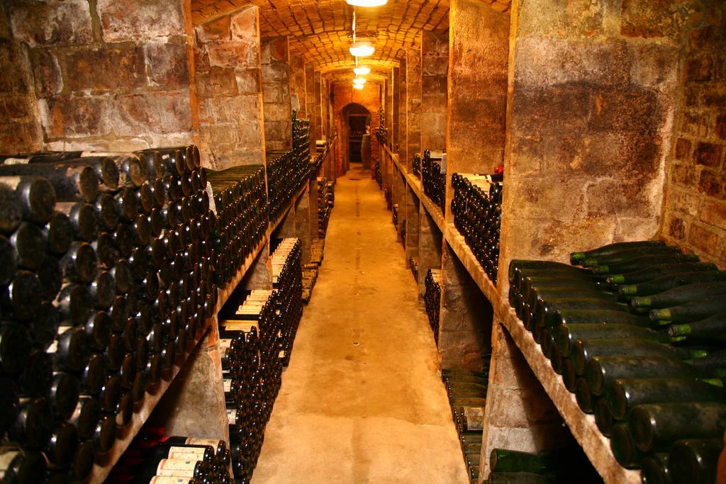 Ferienwohnung Weingut Kloster Pforta Naumburg  Phòng bức ảnh